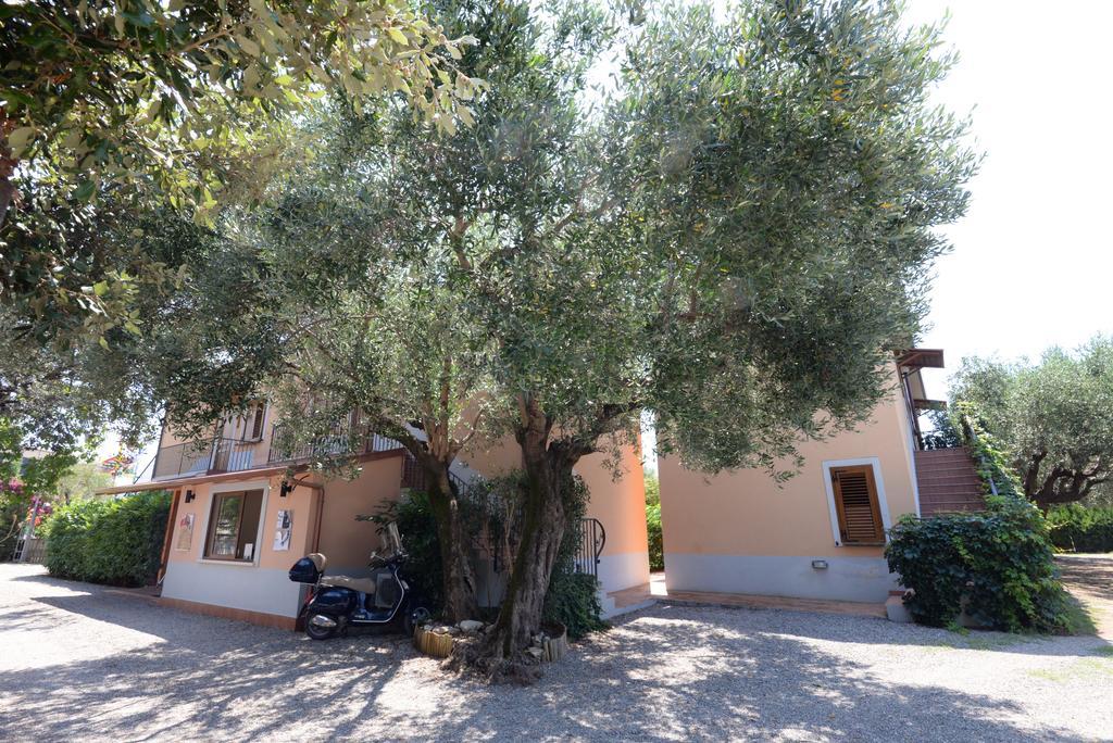 Residence Villa Andrea Marina di Camerota Dış mekan fotoğraf